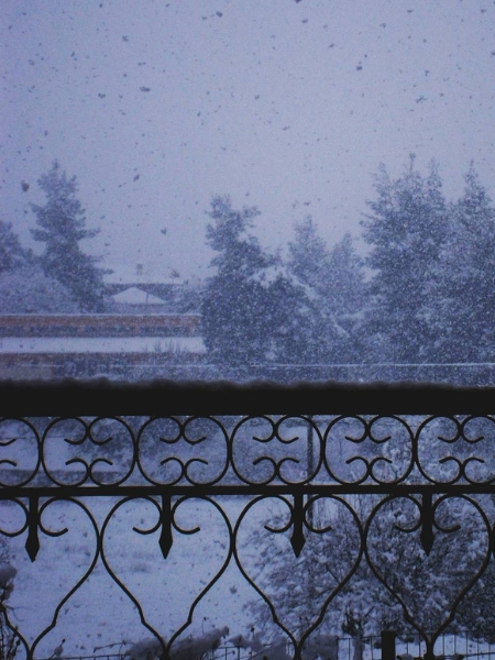 snowday1