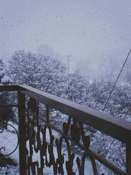 snowday2