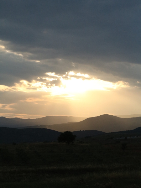 view